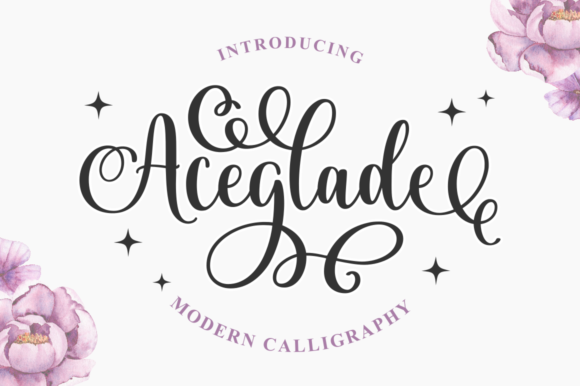 Aceglade Script Font Review for Campaign Design