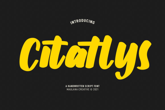 Citatlys: A Playful Script Typeface for Editorial Design