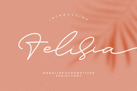 Felisia: The Graceful Script Font for Handmade Branding