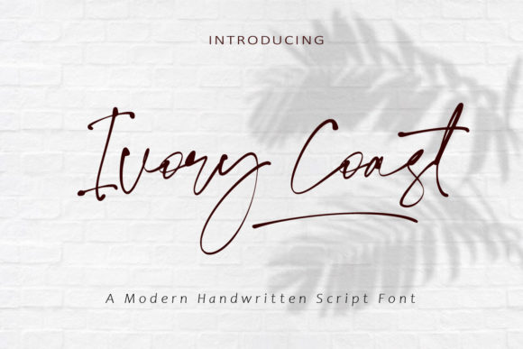 Ivory Coast: A Graceful Script Font for Polished Brand Identity