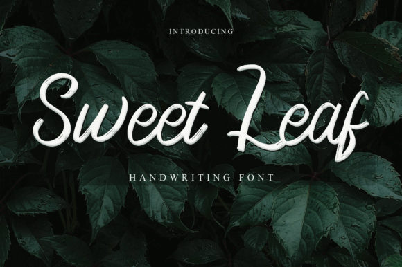 Sweet Leaf: The Refined Script Typeface for Editorial Design